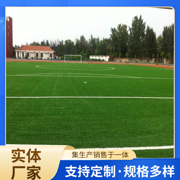 泉州市塑胶跑道人造草坪 - 哪里好